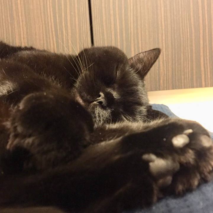 8851a2bc ae29 4fd5 b39f 8e70c3914e80 1571659326690