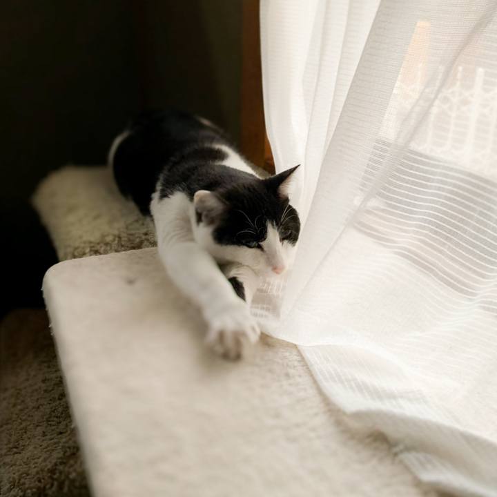 8851ad31 a51f 4922 876a 469ee89e12a5 1594345878534