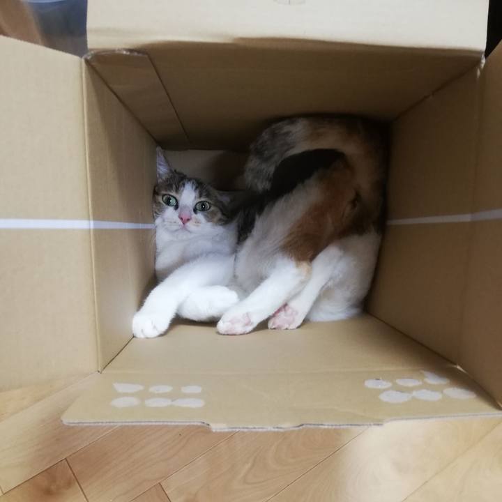 885228d4 7920 45df 94bd d38859f87ebc 1657752109168