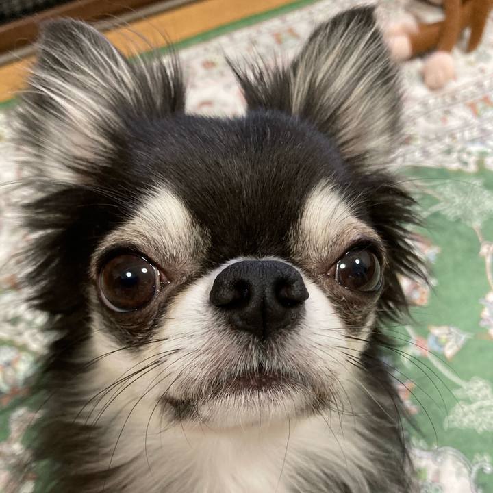 8852934c 6ed1 4f0d 8b88 f24b91ce1cff 1666392318386