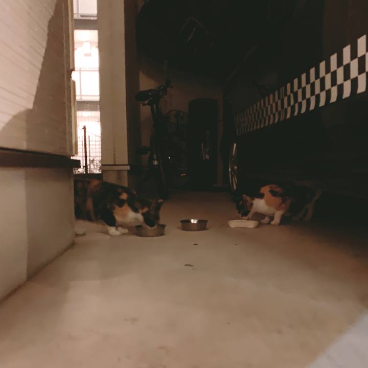 8852b448 a6d6 49c8 94b4 b34ef94e1e60 1559920946263