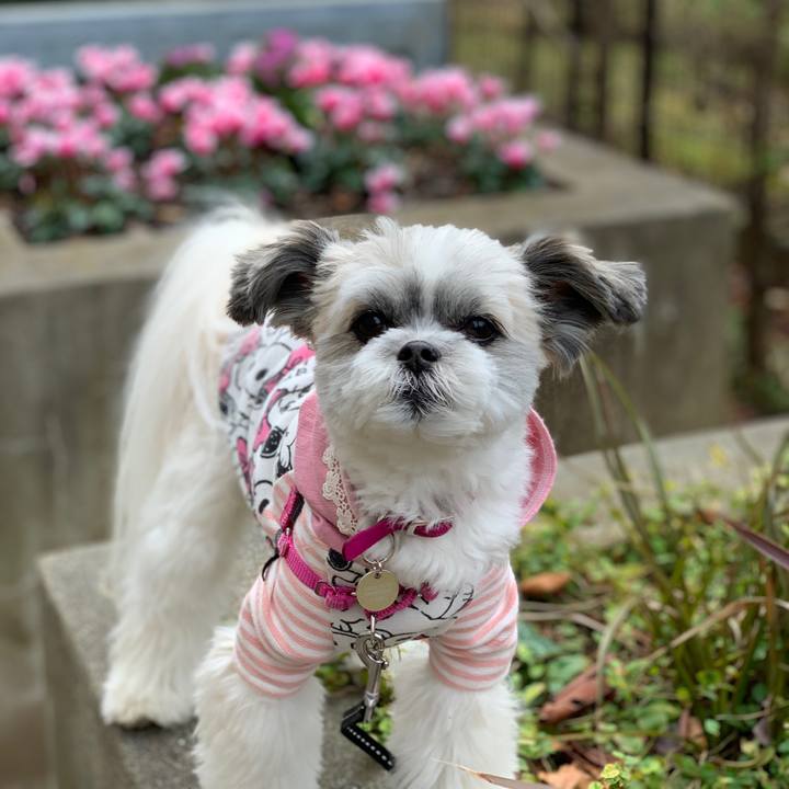 8852bea1 2a73 4e3c 8f60 aa98eb7ebd8e 1573618901824