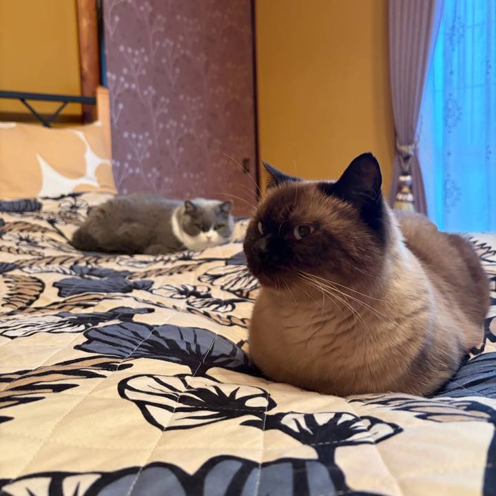 8852f235 a8dd 43a6 bbef 94e5474e2242 1761004599670