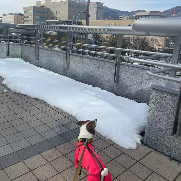 885300c3 46aa 4b44 83e4 ef55dedb3345 1643090969403