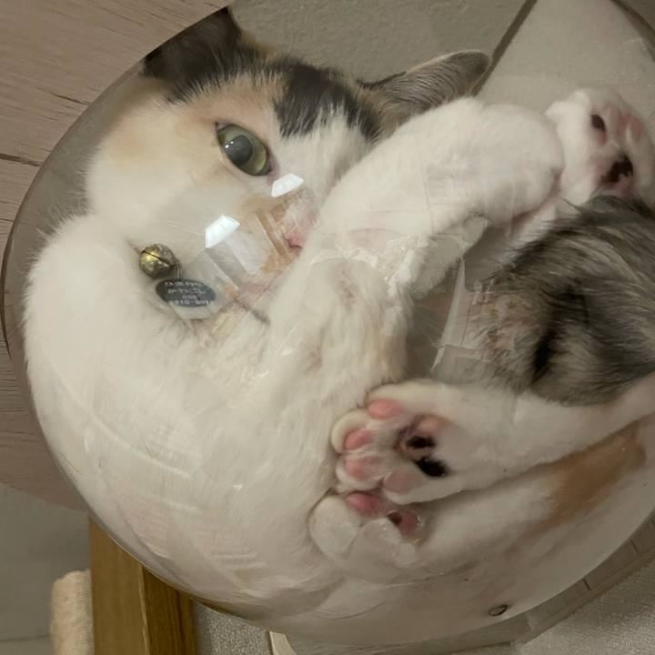 88530ac5 8409 4483 b64b f934cf180be2 1736777398770