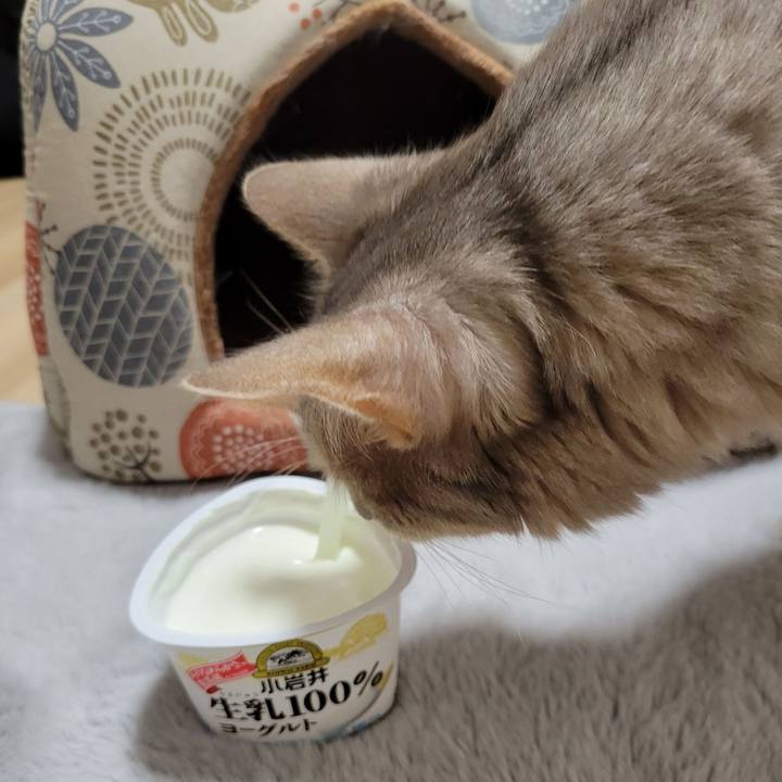 885324f0 51c5 4910 ace4 4c280ddb43eb 1649933228856