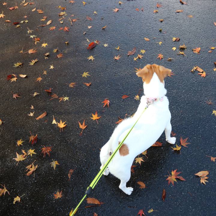 88533436 b6b1 495e a100 a313dd394947 1541836582316