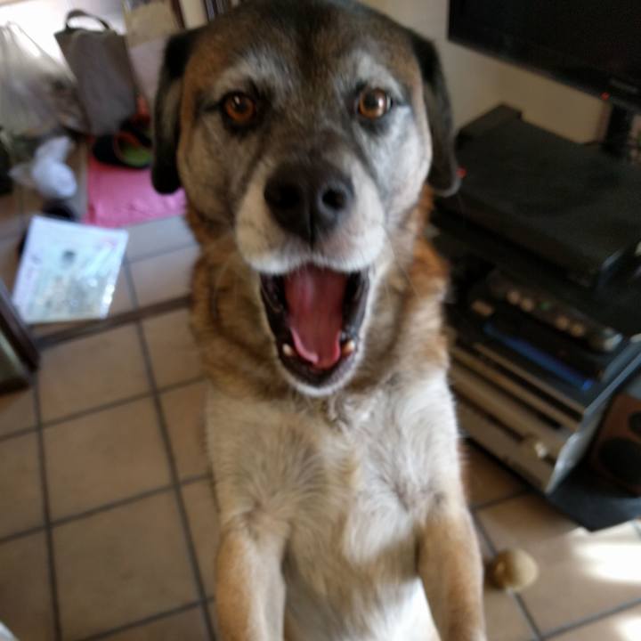 88533bd2 cddb 4235 9c52 687c6d344074 1703033476771