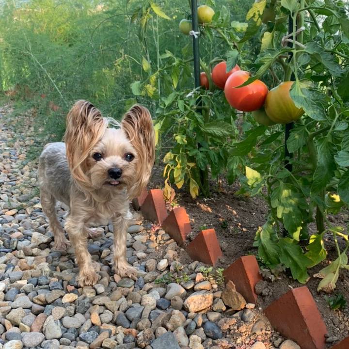 88534c10 0590 418b 91c9 8fdc6c791468 1626861137246