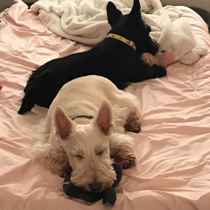 88535910 b1a5 434b a8e9 738d26251a50 1566703846474