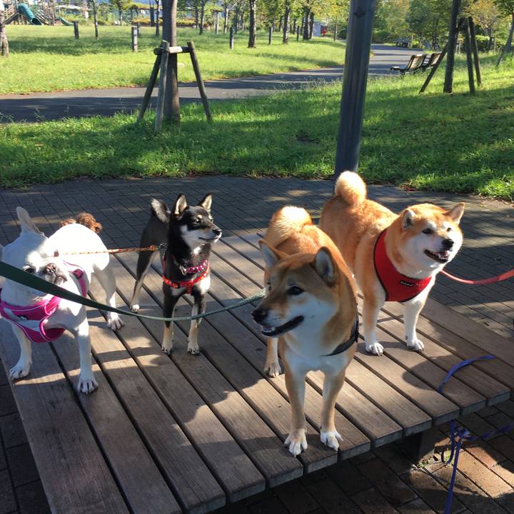 885364c5 8438 4f33 a887 72d7ac690353 1633136109167