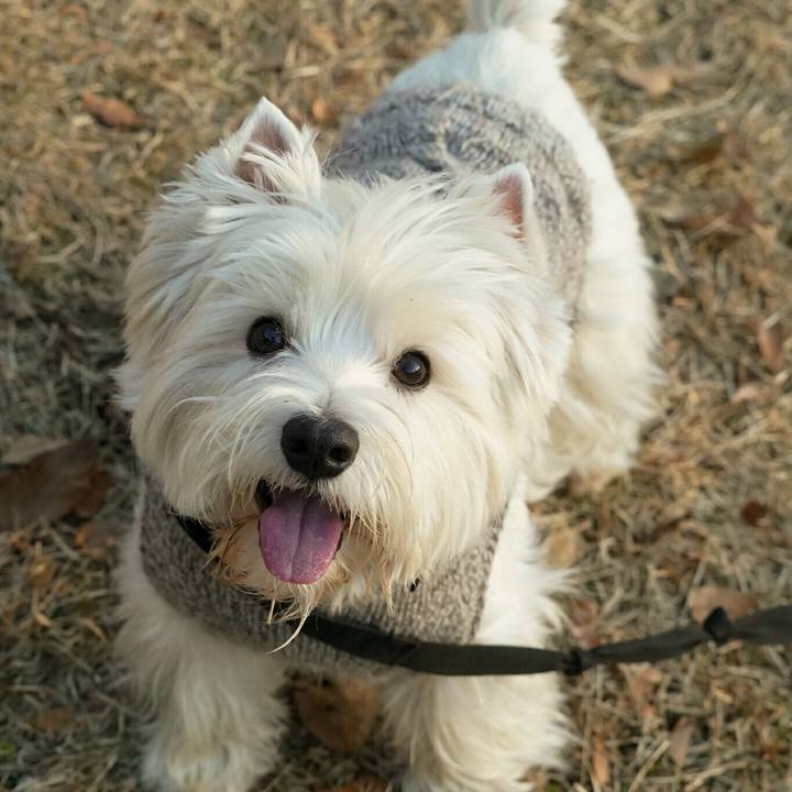 885372fb 8455 44a1 ad40 70969dd6bde8 1514281664215