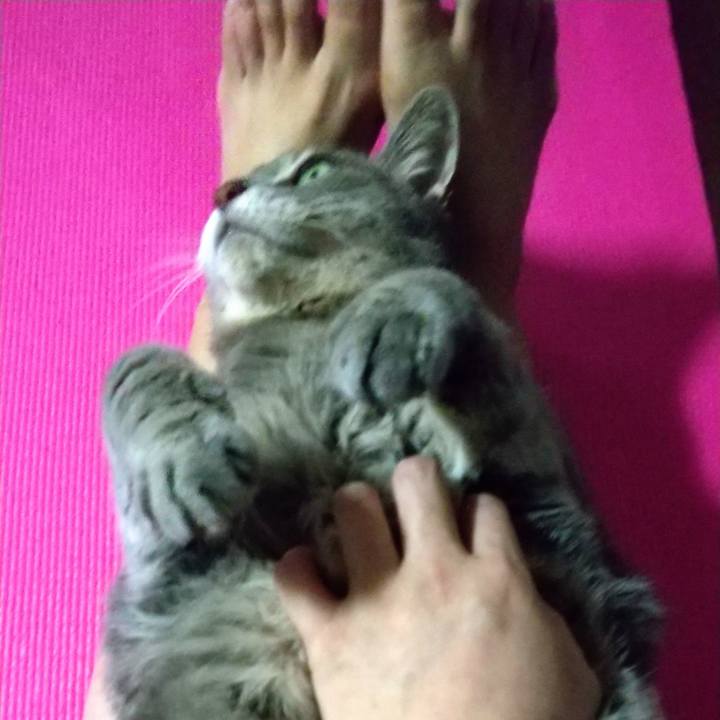 8853877a 6d63 4852 9001 1b3322dbe394 1603610635948