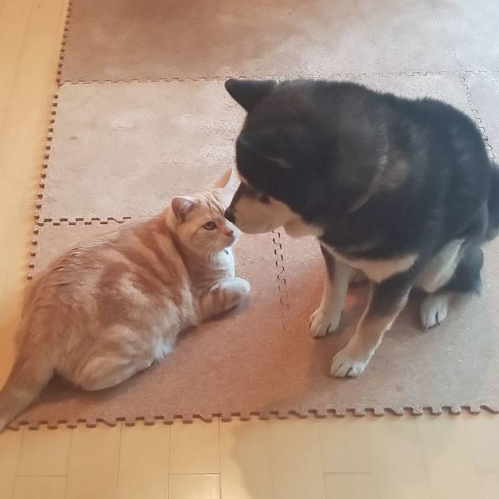 88539754 5c1e 4e29 b477 89642ebaa3db 1554367953676