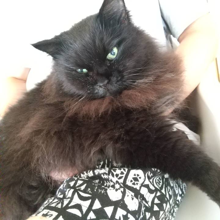 88539bda 50f1 4b32 88fe b2207de7fb93 1691974329243