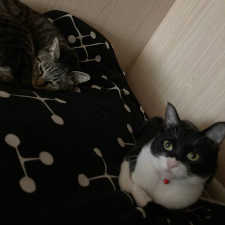 8853b1f4 50ea 45a5 a52f 75ec8545e4a2 1616997618974