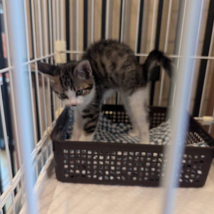 8853c57b b84c 4ea8 81e5 21cc313ec985 1719299871280