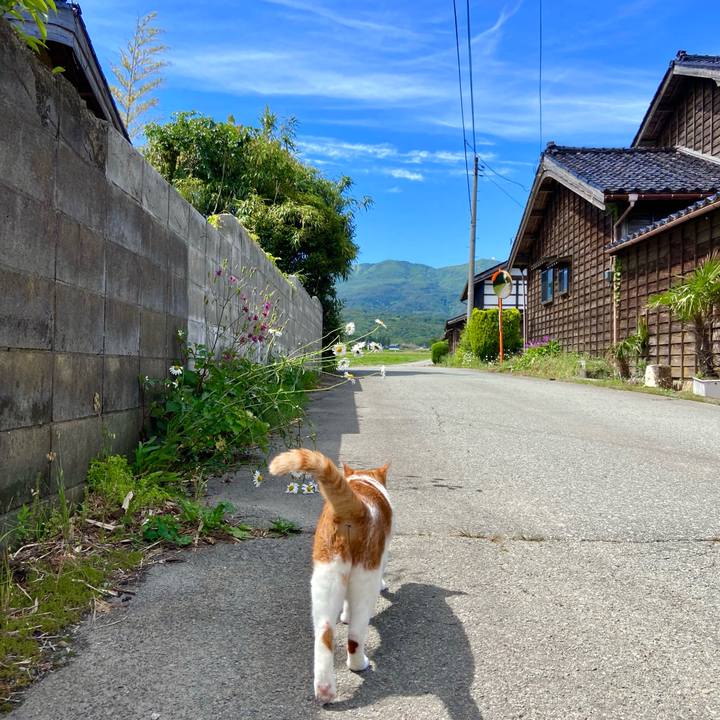 8853f484 5c90 4fee a3a7 5c58269ce488 1622876121912