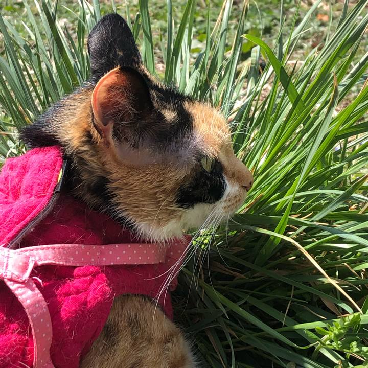 885407e2 2578 43c7 a80b 92af0557b674 1617244386233