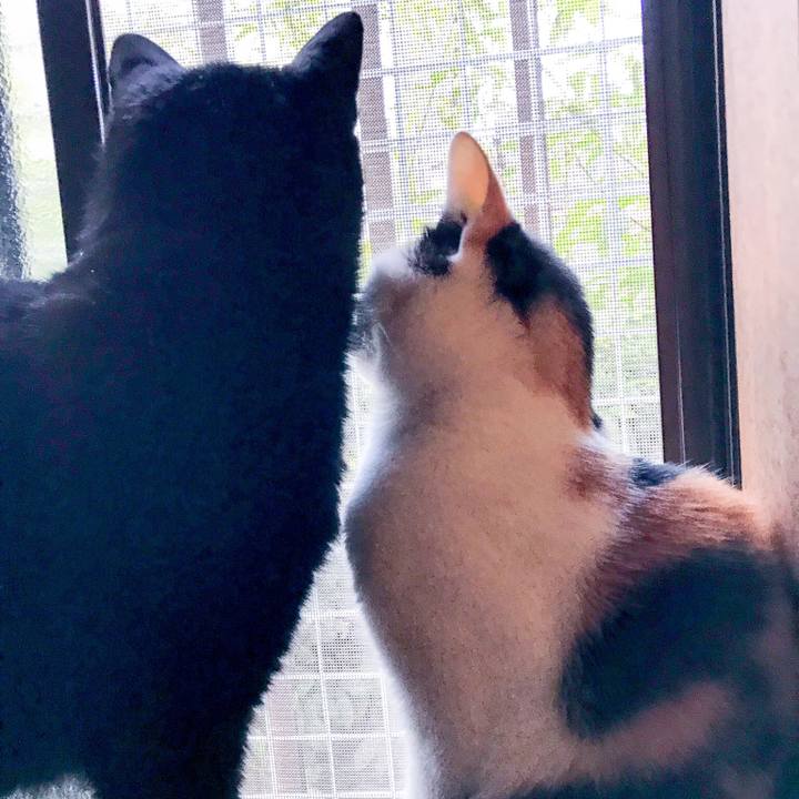 88544e27 5874 44ff bec0 74001ee8b677 1509340697484