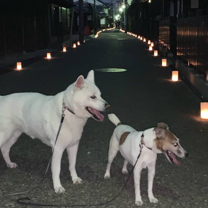 885452be d16b 4a5b 82d1 19382529124d 1565441901721