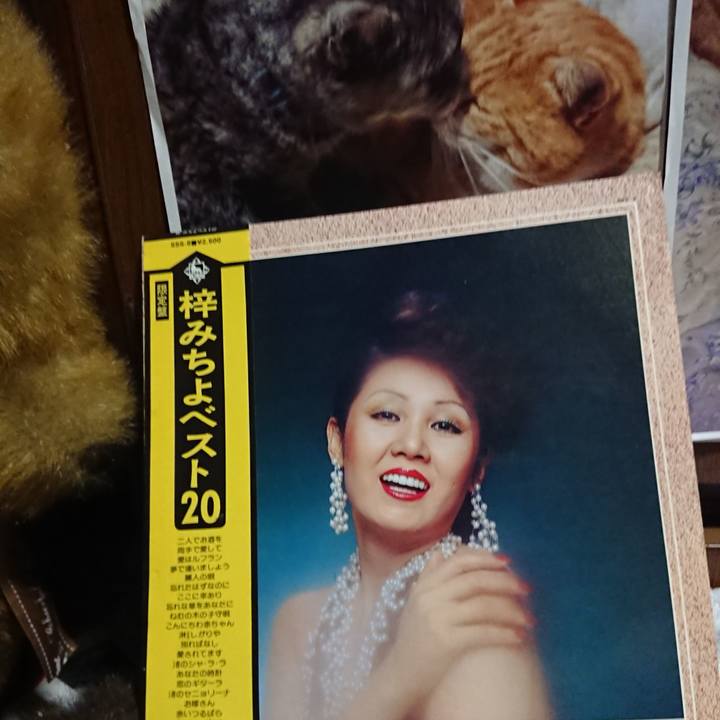 885458cb f119 461a bcc8 fabfb2fa47ee 1624362698209