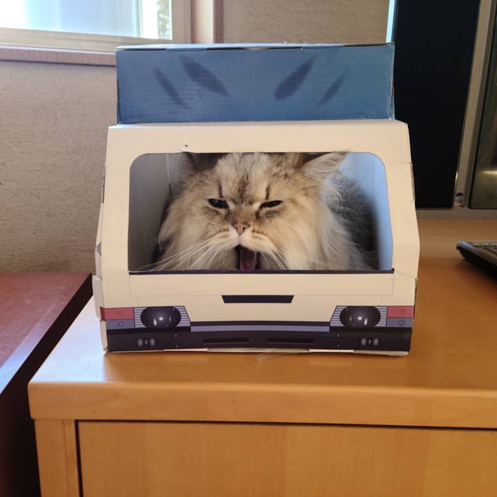 88546568 ce37 4fc0 801d f4d4dfbcd132 1620359895412