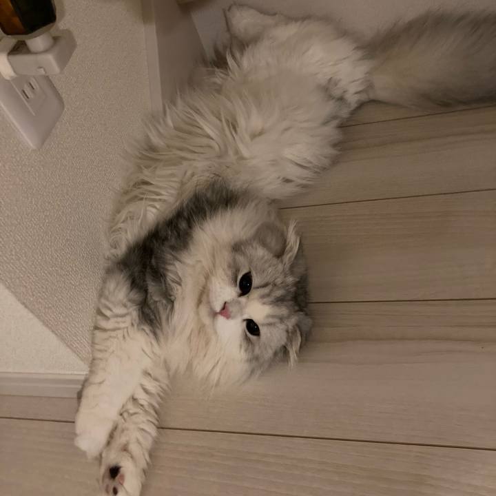 88547413 a8d9 41da afd5 3f4c3f2be56d 1629545546487