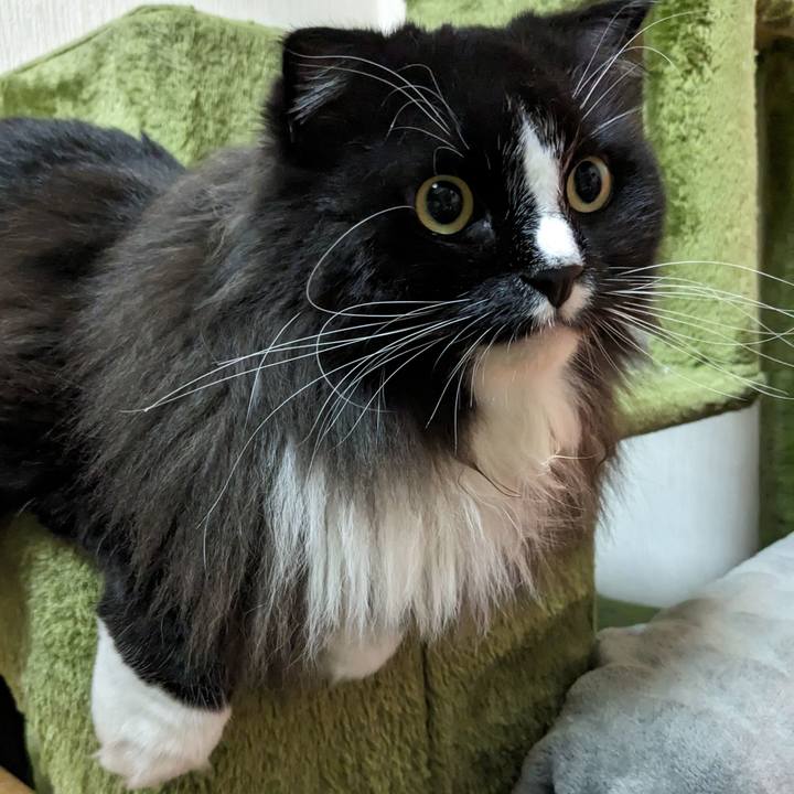 8854d2ce a840 469e bb4e b84c98297f22 1689432030877