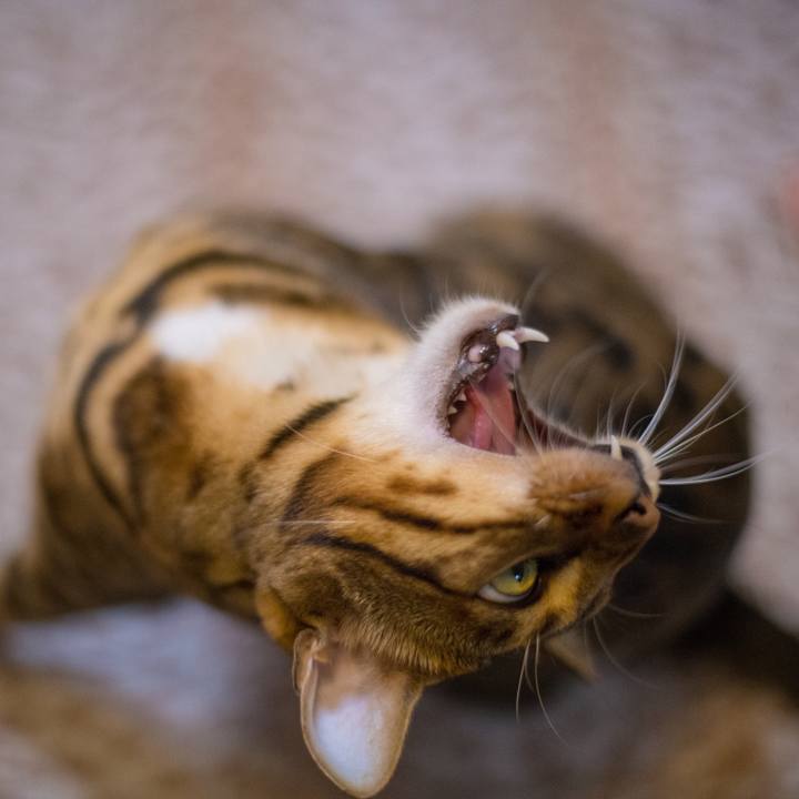 88550196 35ac 40ac 8a2b 467829b6efe1 1518970882674