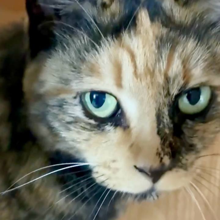 885546b9 f69d 411b 9e2a 649330d3acc7 1755053888335