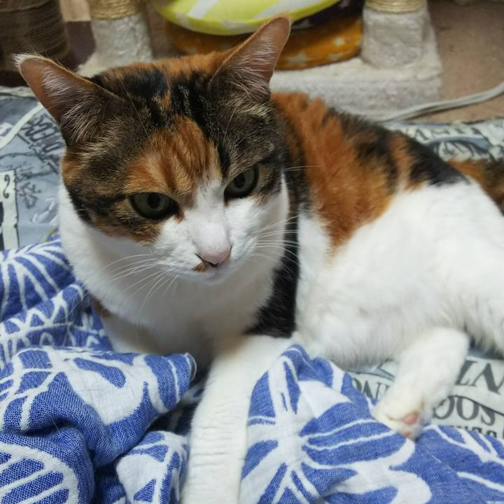 88555f81 ecb4 4bfe 9cdc 65ac4216db76 1531037064240