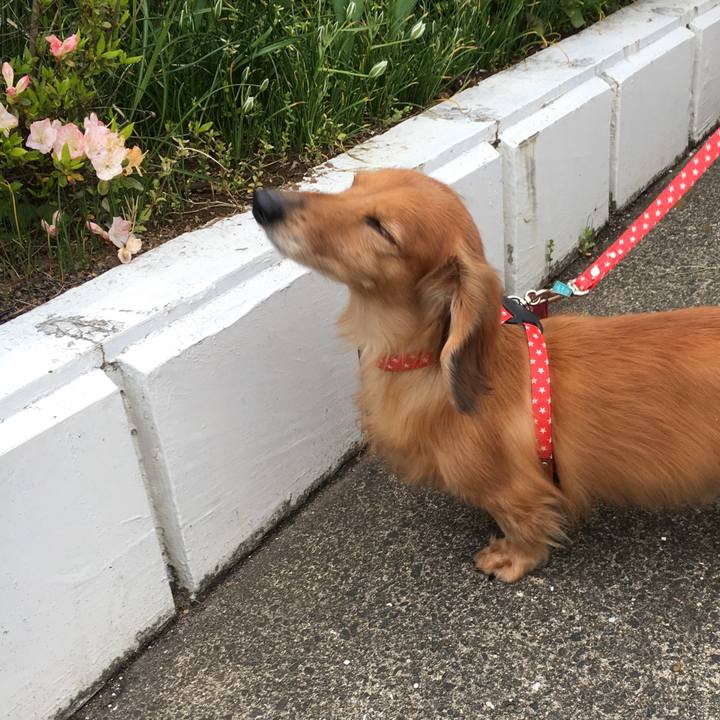 88558ce5 7432 4bb0 adb9 f38de58b9e4e 1586689555069