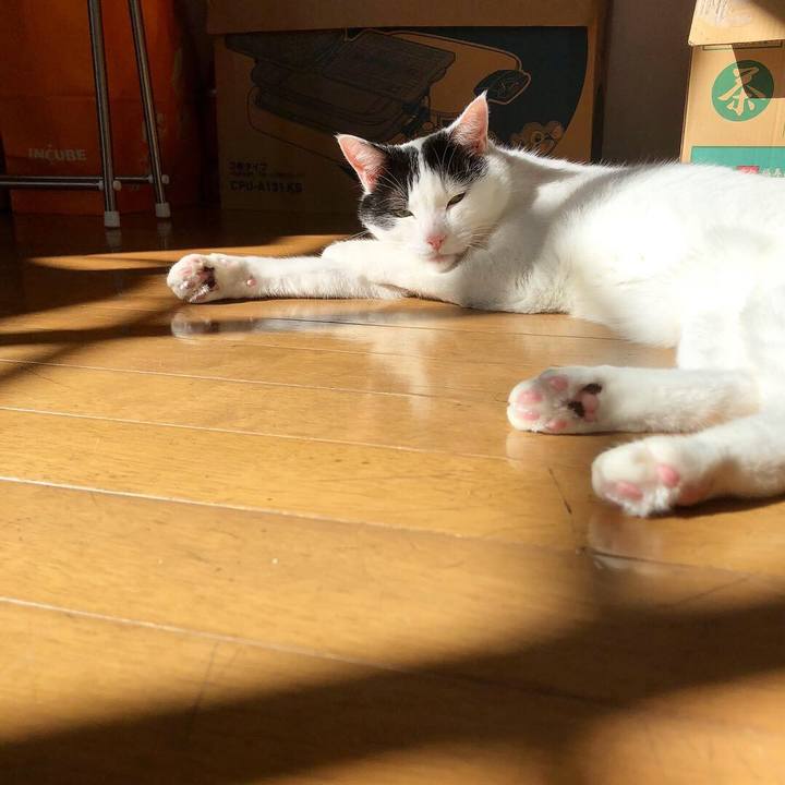 8855a492 b524 4826 982b 2696eed86589 1541780068471