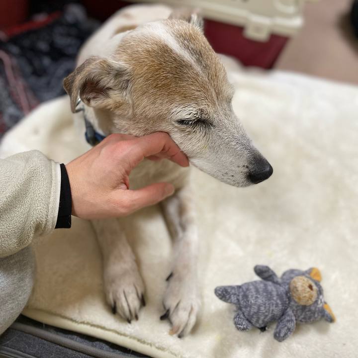 8855f9e4 62ec 44de 95cc 8668684eba87 1674049395395