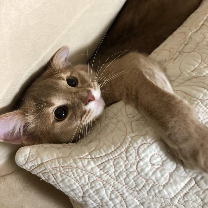 8855fe5a 0ae8 47ee 8552 77770e1bd133 1574436563201