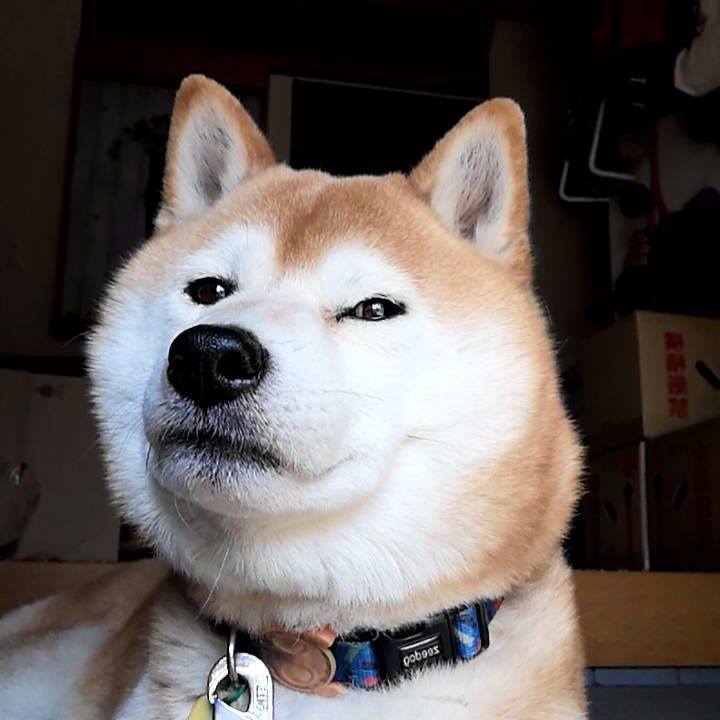 8855ffe6 2bad 45f7 a5fa 4647812f9e01 1587809223403