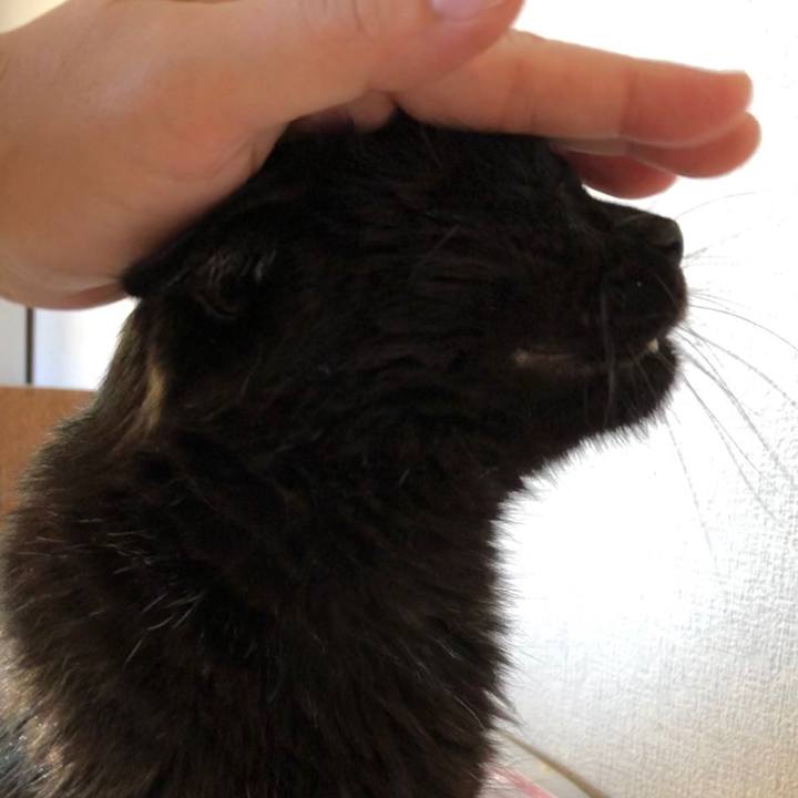 8856032b d9d6 454c 8409 e3faa173931e 1596231504465