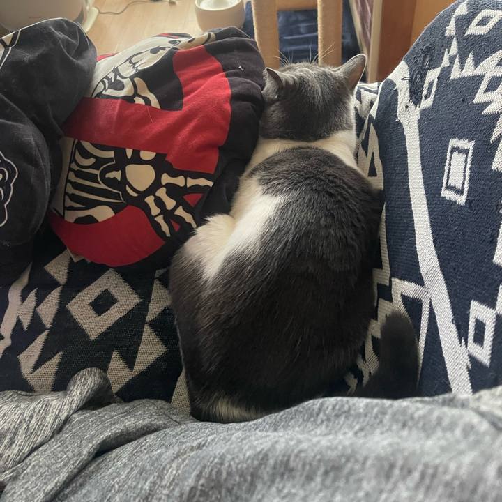 885649df 133f 4f3a bc45 b986fc60a36b 1726386579225