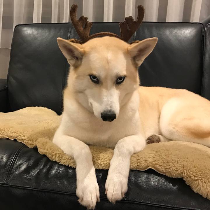 885671c1 ddd6 494e 94c8 aebca2f4665e 1514115432384