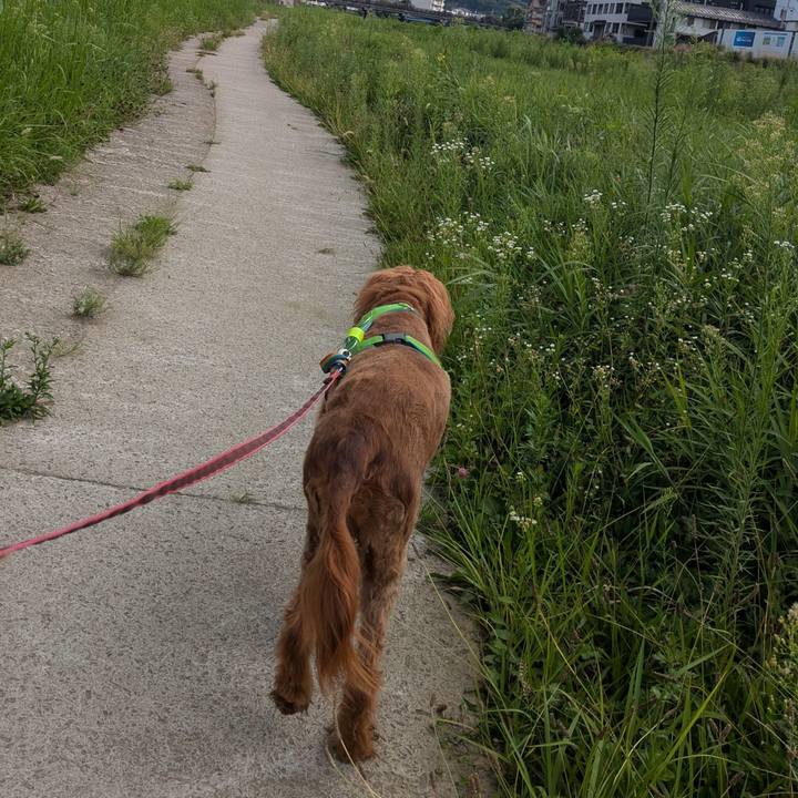 8856a5e4 47cc 4f74 bf92 d9122939d297 1755777545637