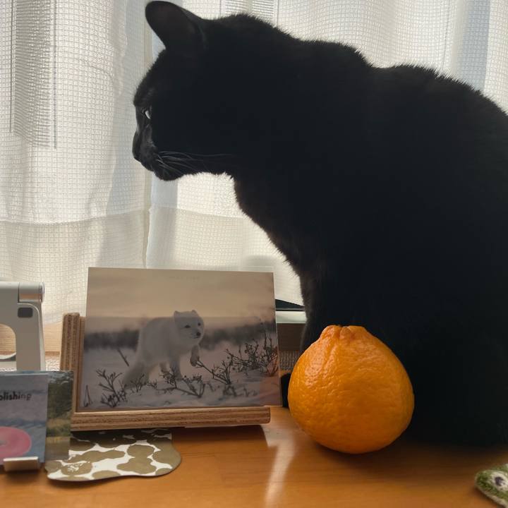 8856afb4 46de 4097 8a6f a6be79e582ac 1706486887640