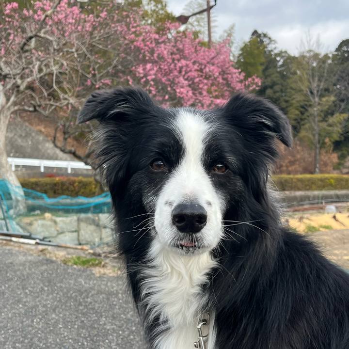 8856c442 7626 4b0d bef2 b87d7f746bf6 1771801970664