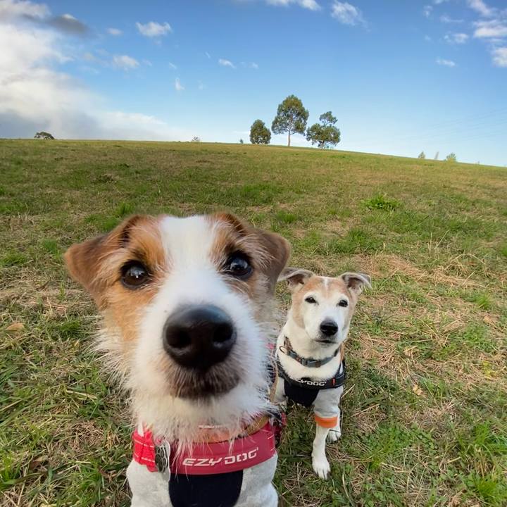 88570f93 e425 4f87 a21f dc367541fd4b 1638003668953