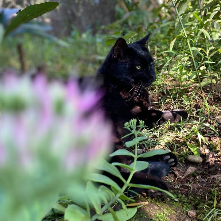 88572213 b8cf 4cd1 8327 5f8f0950a869 1665150328234