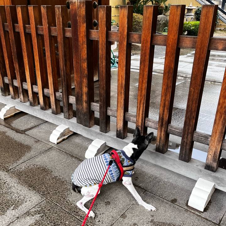 88575e64 2323 4808 8c72 95f2de50cc4a 1634952134589