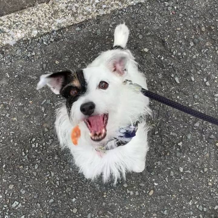 885762ff 5f71 440a 8c58 ac8b1dfab4a7 1663228402186