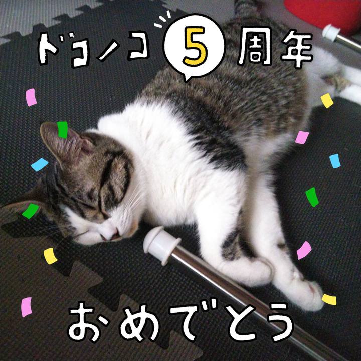 88578849 3830 45ff b986 bc5a48b674e1 1622967978995