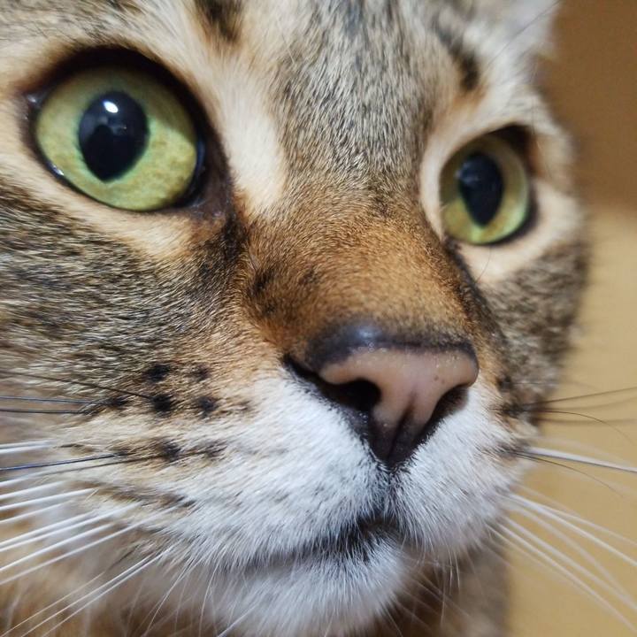 8857dbba f387 4a18 b6c0 0afb02384f52 1585658441700