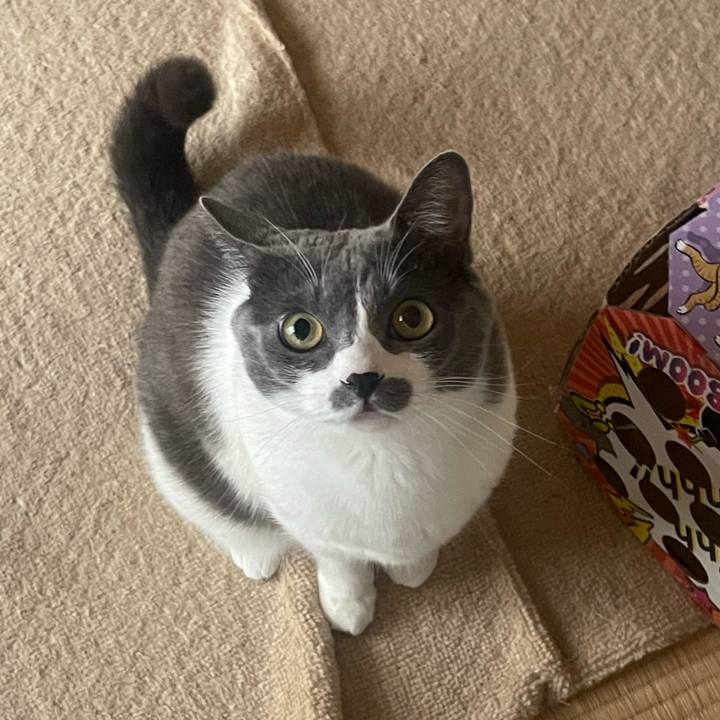 8857feef 93a3 4589 9fa7 f8b4e8b63ee0 1699311876481